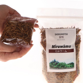 SHOKUMOTSU Miruwamu 20g - flour weevil larvae